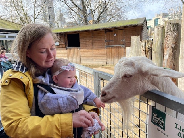 City Farms – Urban Retreats for Families in Summer